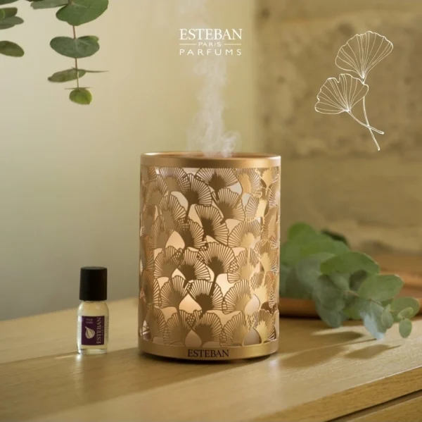 Difusor Cuivre & Lumiere edition